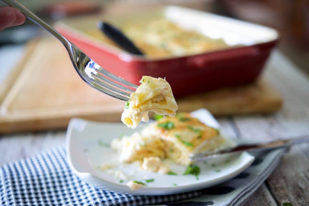 Buffalo Chicken Lasagna Roll Ups-plated