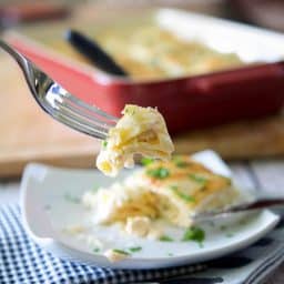 Buffalo Chicken Lasagna Roll Ups-plated