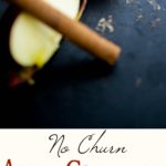 Make your own No Churn Apple Cinnamon Ice Cream at home with five simple ingredients. It's a family friendly dessert the whole family will love.