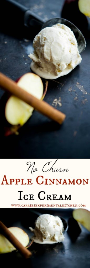 Make your own No Churn Apple Cinnamon Ice Cream at home with five simple ingredients. It's a family friendly dessert the whole family will love. 