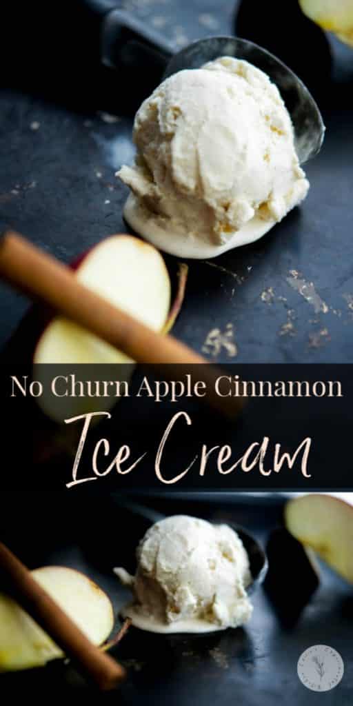 Make your own No Churn Apple Cinnamon Ice Cream at home with five simple ingredients. It's a family friendly dessert the whole family will love.