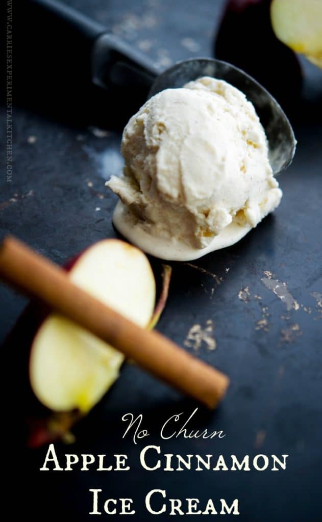 Make your own No Churn Apple Cinnamon Ice Cream at home with five simple ingredients. It's a family friendly dessert the whole family will love. 