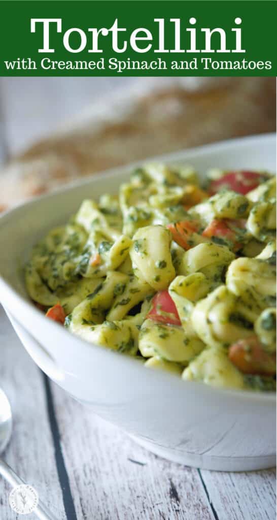 Cheese filled tortellini pasta tossed in a creamy spinach and tomato sauce is a deliciously quick weeknight meal.