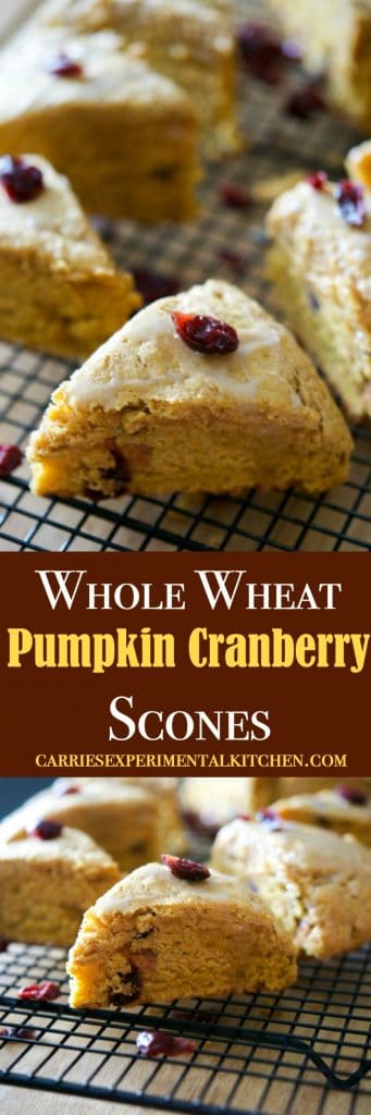 'Tis pumpkin season once again and these Whole Wheat Pumpkin Cranberry Scones are deliciously moist and perfect for breakfast or an afternoon snack.