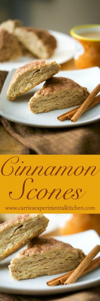 Cinnamon Scones are deliciously moist and perfect for a quick on the run breakfast or afternoon snack with a cup of your favorite hot beverage. 