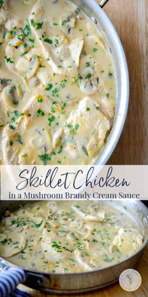 Boneless Chicken pan seared in a skillet; then simmered in a mushroom brandy cream sauce. Serve with rice and vegetable for a quick dinner.
