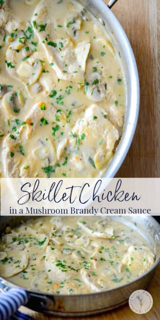 Skillet Chicken in a Mushroom Brandy Cream Sauce