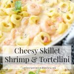 Cheesy Skillet Shrimp & Tortellini made with jumbo shrimp combined with cheese tortellini in a cheesy tomato basil Alfredo sauce.