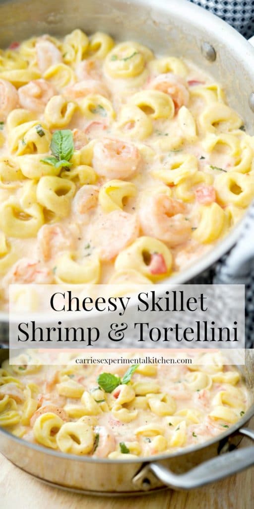Cheesy Skillet Shrimp & Tortellini made with jumbo shrimp combined with cheese tortellini in a cheesy tomato basil Alfredo sauce.