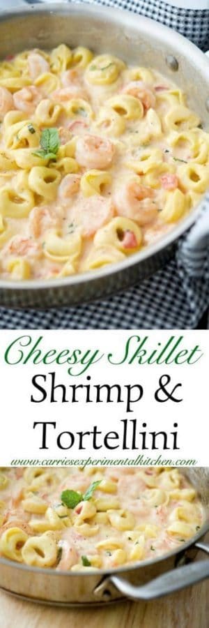 Cheesy Skillet Shrimp & Tortellini made with jumbo shrimp combined with cheese tortellini in a cheesy tomato basil Alfredo sauce. #shrimp #pasta #skillet
