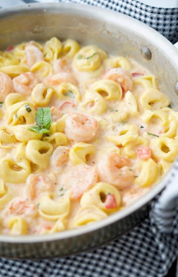 Cheesy Skillet Shrimp & Tortellini made with jumbo shrimp combined with cheese tortellini in a cheesy tomato basil Alfredo sauce.