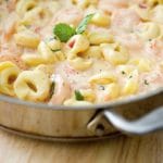 A bowl filled with pasta and cheese, with Shrimp and Tortellini