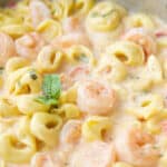 Cheesy Skillet Shrimp & Tortellini made with jumbo shrimp combined with cheese tortellini in a cheesy tomato basil Alfredo sauce.