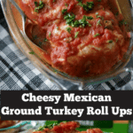 Mexican Ground Turkey Roll Up