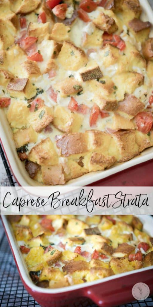 Caprese Breakfast Strata made with Italian Semolina bread, ripe plum tomatoes, fresh mozzarella, basil and eggs; then baked until golden brown.