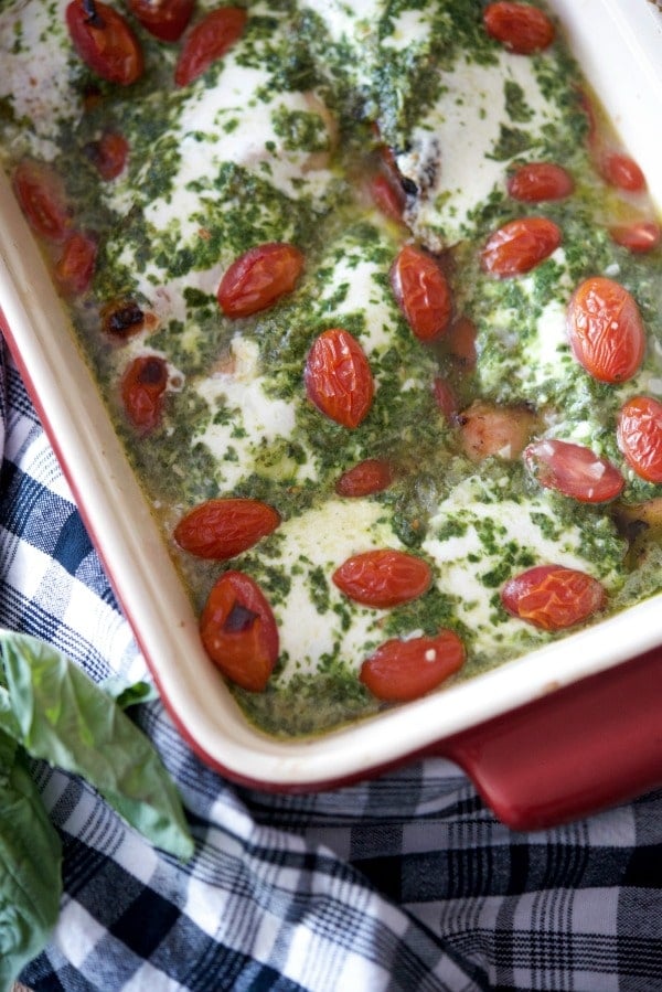 Chicken Margherita in a casserole dish. 