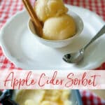 A bowl of apple cider sorbet on a table 