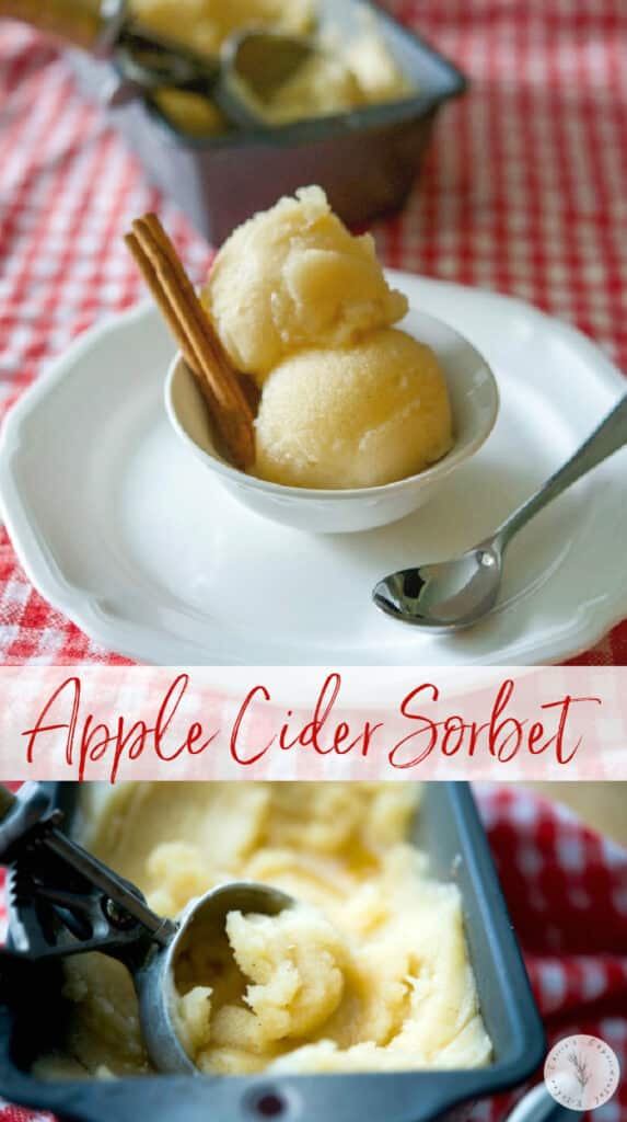 A bowl of apple cider sorbet on a table 