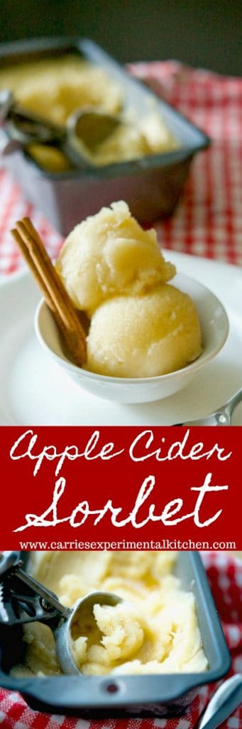 A close up of a bowl of apple cider sorbet