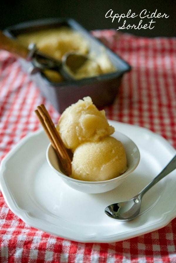 A bowl of apple cider sorbet