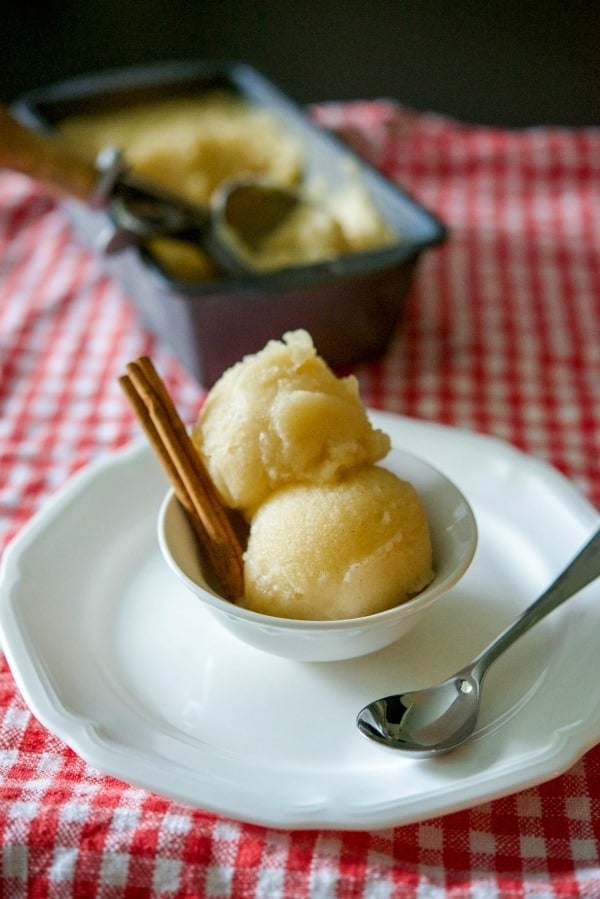 A bowl of apple cider sorbet with a spoon