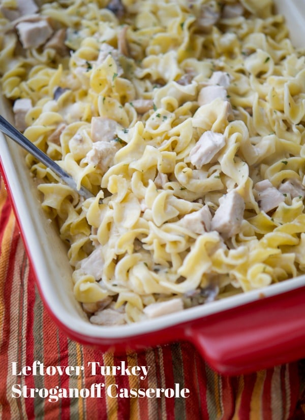 Turkey Stroganoff Casserole in a creamy sauce mixed with egg noodles. 