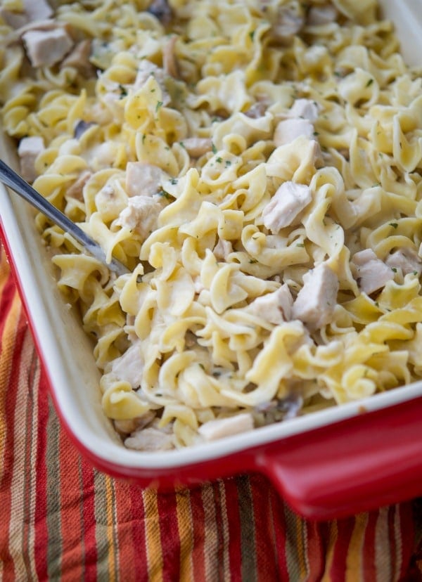 A closeup of turkey stroganoff casserole. 