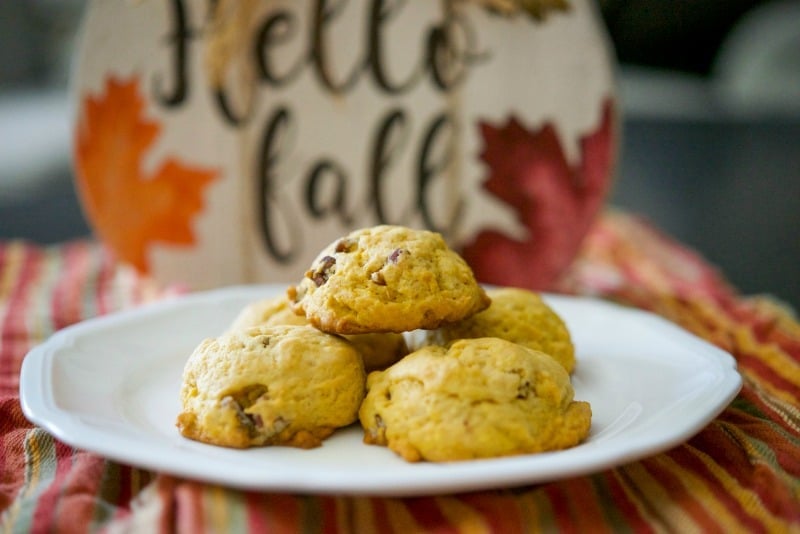 Pumpkin Pecan Sugar Cookies