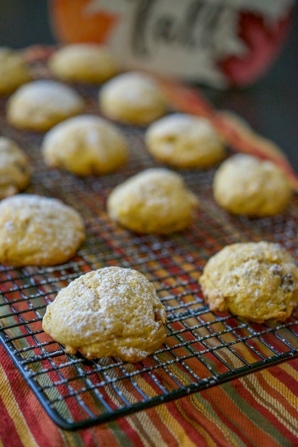 A close up of Pumpkin Pecan Sugar Cookies