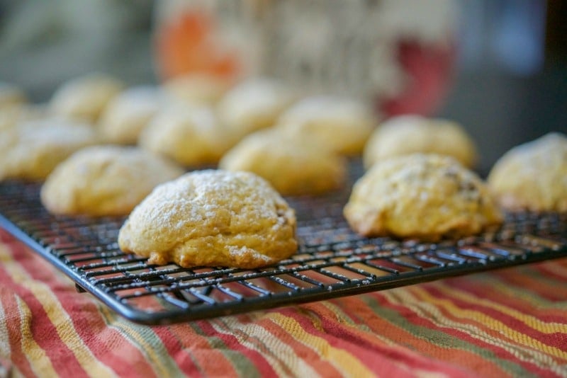 Pumpkin Pecan Sugar Cookies