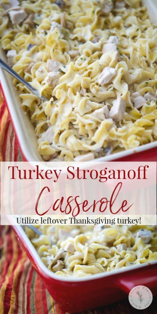 Utilize leftover turkey from your holiday celebrations and turn it into this Turkey Stroganoff Casserole in a creamy sauce mixed with egg noodles.