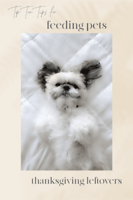 a white dog on it's back