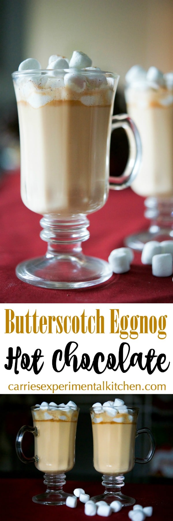 Butterscotch Eggnog Hot Chocolate made with butterscotch morsels, eggnog, milk, vanilla and ground nutmeg is sure to warm the soul during the cold winter months. #eggnog #hotchocolate #butterscotch #winter