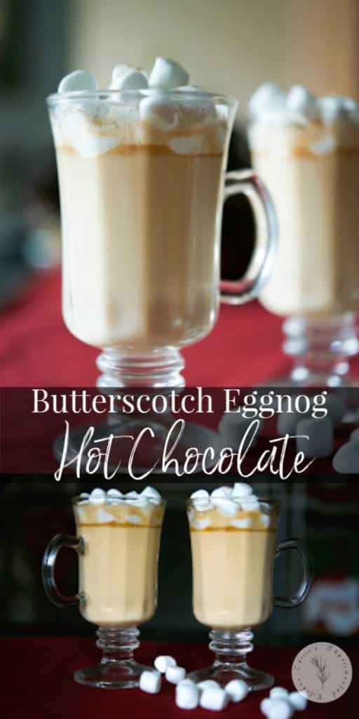 Butterscotch Eggnog Hot Chocolate is a satisfying, sweet treat that is sure to warm the soul during the cold winter months. 