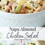 Napa Almond Chicken Salad made with tender white meat chicken, slivered almonds and grapes in a honey lemon herb mayonnaise.