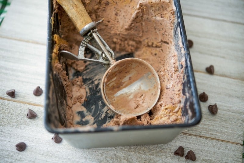 Chocolate Chocolate Chip Peanut Butter Swirl Ice Cream