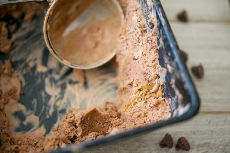 Chocolate Chocolate Chip Peanut Butter Swirl Ice Cream