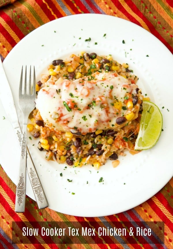 If you're looking for a healthy, quick and easy weeknight meal, this Slow Cooker Tex Mex Chicken and Rice made with black beans, corn, salsa and boneless chicken breasts is definitely for you. 