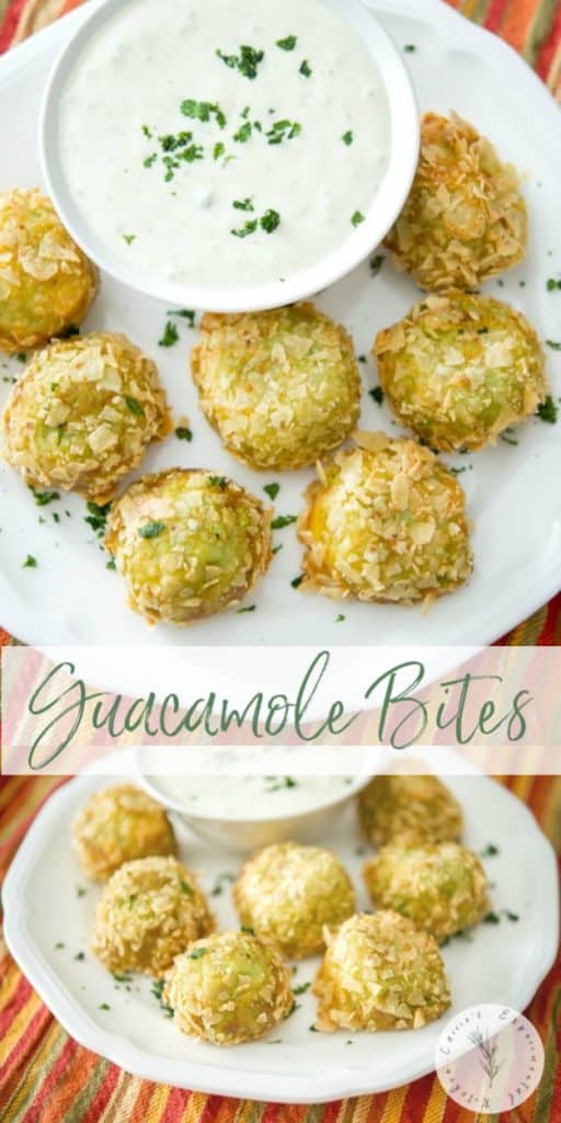 Fried Guacamole Bites on a white plate with sauce collage