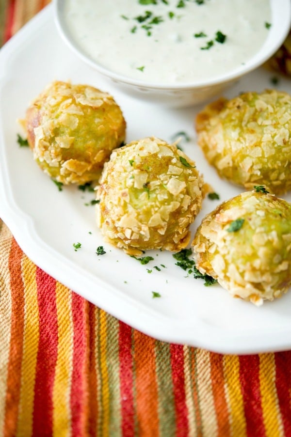 A close up of Guacamole Bites on a white plate with sauce. 