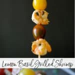 Lemon Basil Grilled Shrimp marinated in lemon juice, garlic, basil, vinegar and oil, skewered with your favorite vegetables; then grilled.