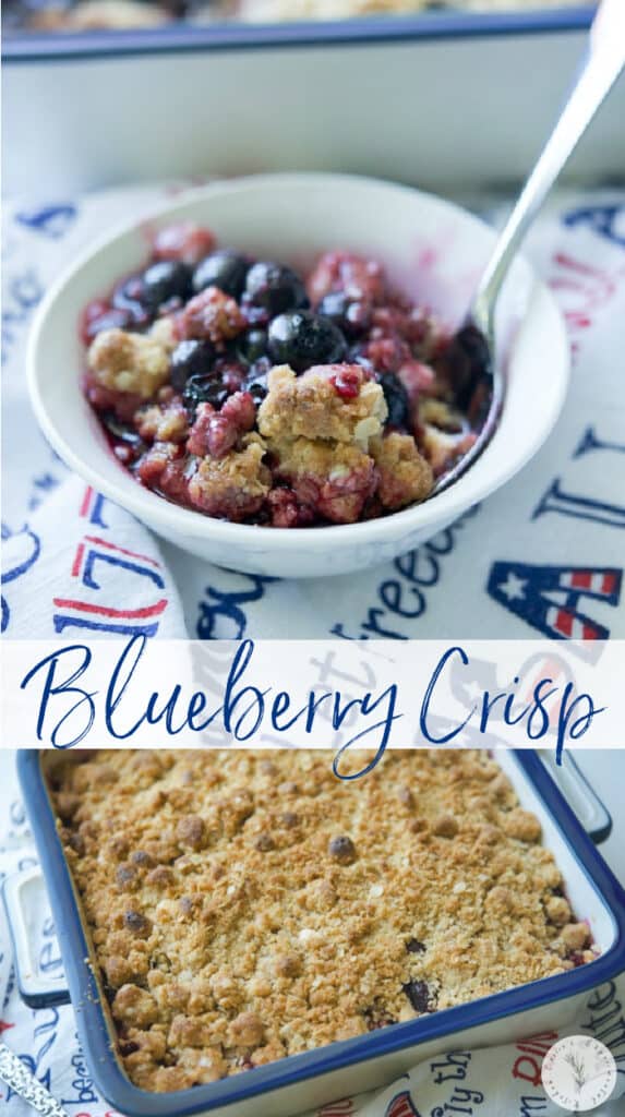 Blueberry Crisp made with fresh blueberries, honey, lemon and vanilla extract; then topped with a buttery brown sugar, oat topping is delicious.