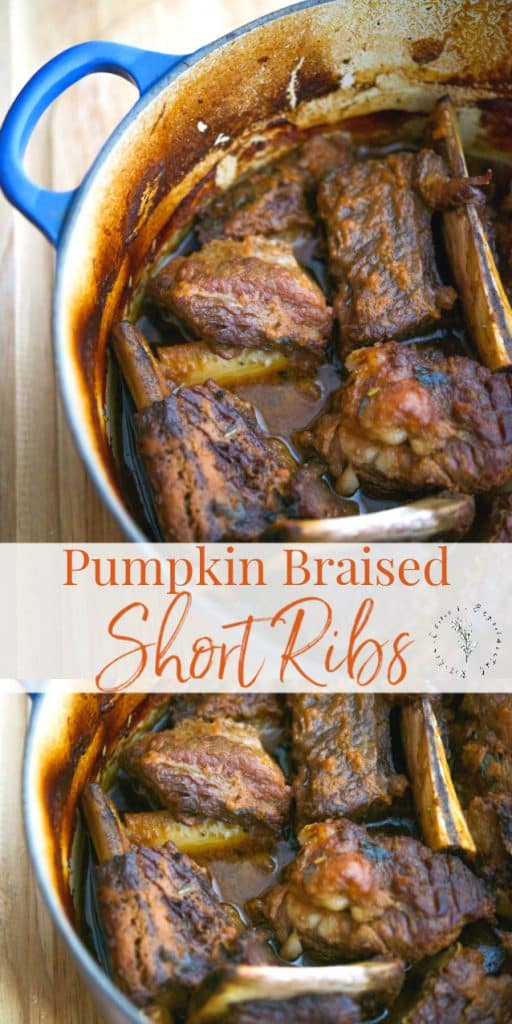 Beef short ribs braised in pumpkin puree, fresh garlic and sage until tender and delicious, It's the quintessential Fall meal!