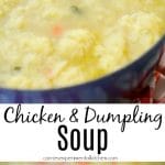 Chicken and Dumpling soup in a blue bowl