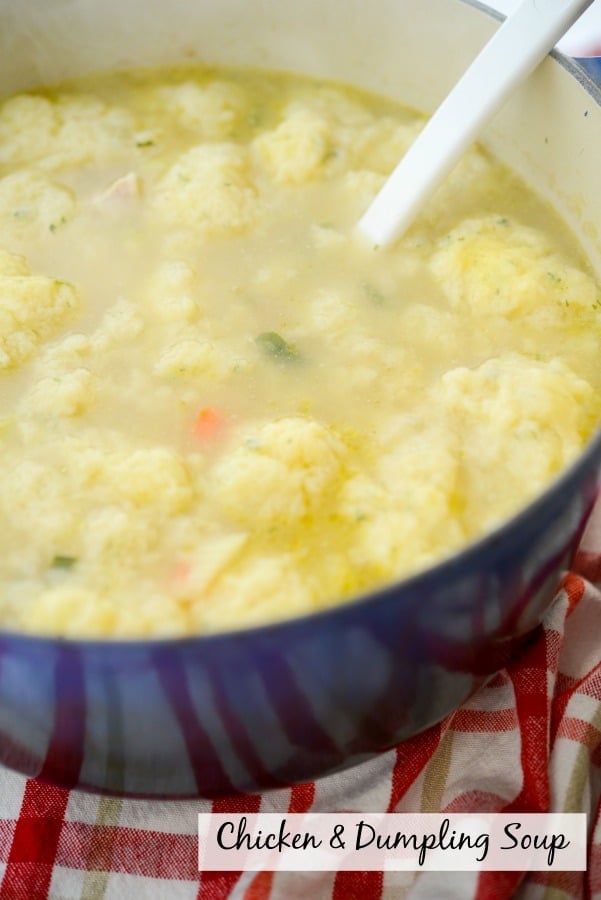A close up of Chicken and Dumpling soup