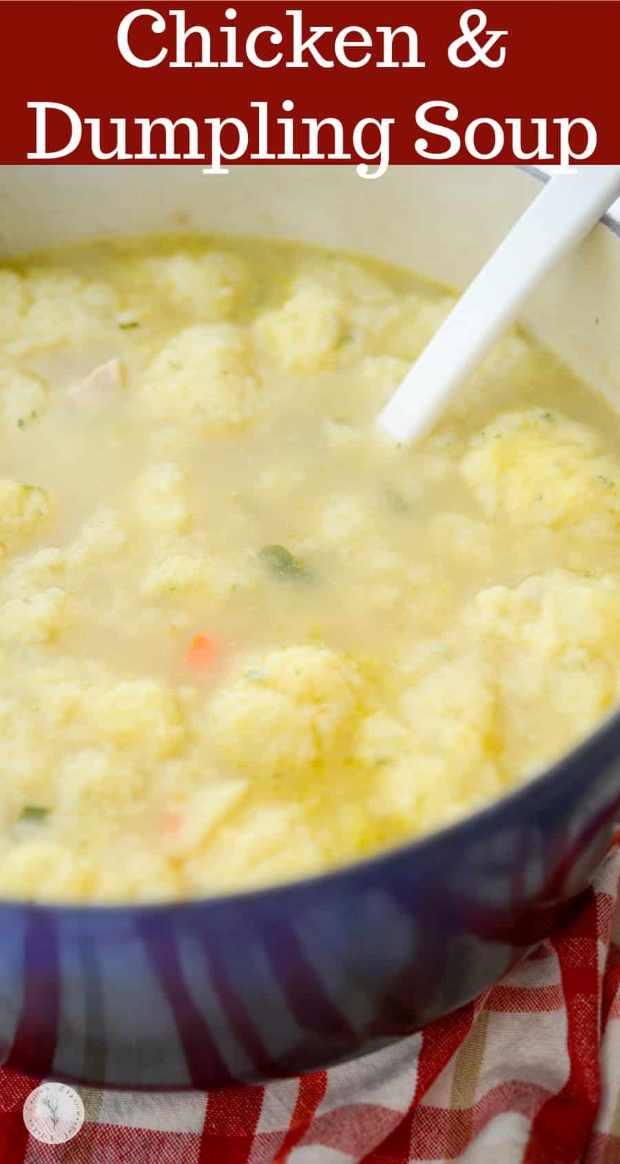 Chicken and Dumpling Soup | Carrie’s Experimental Kitchen