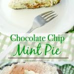 A close up of chocolate chip mint pie