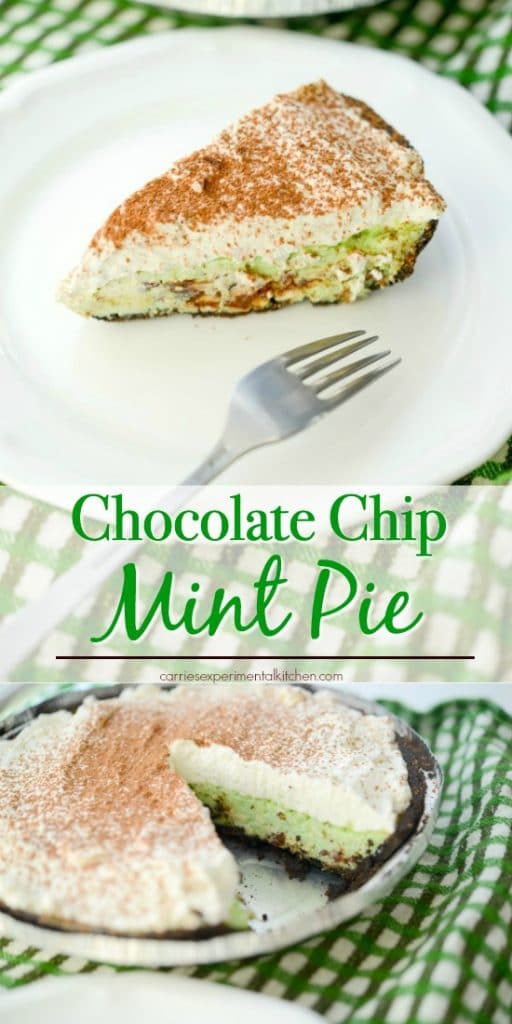 A close up of chocolate chip mint pie