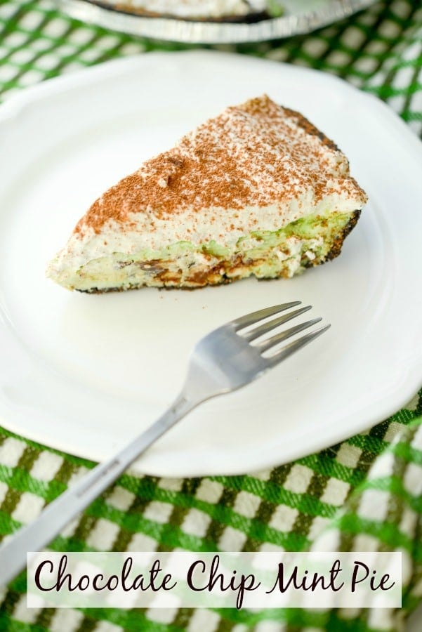 A piece of Chocolate chip mint pie 