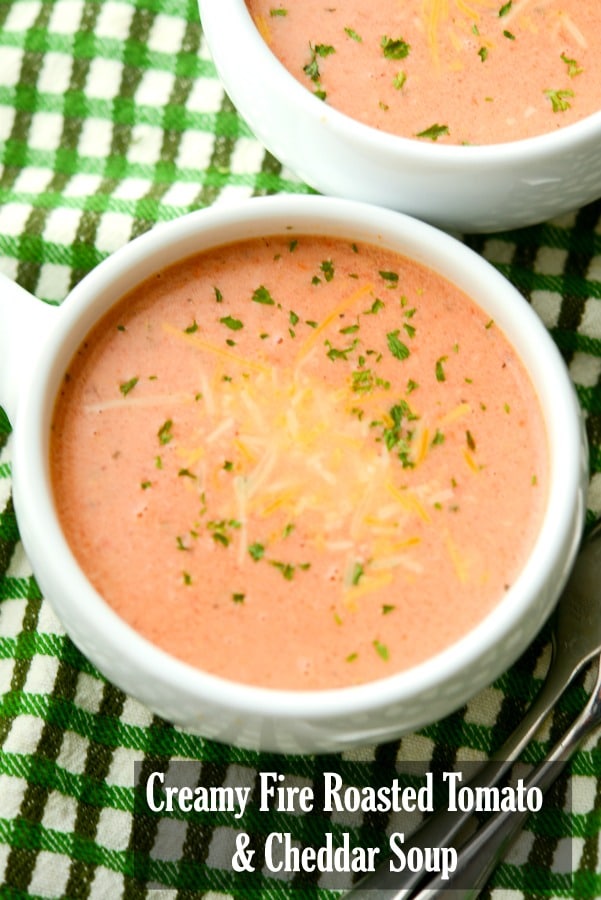 A bowl of Tomato and Cheddar cheese soup. 